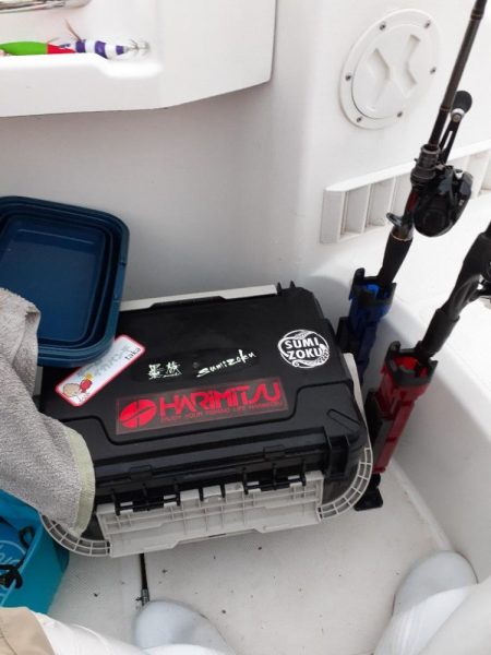 ボチボチ釣れました🦑