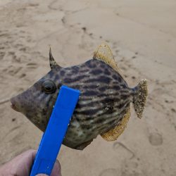 ツーリングからの