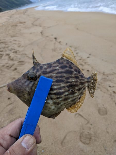 ツーリングからの