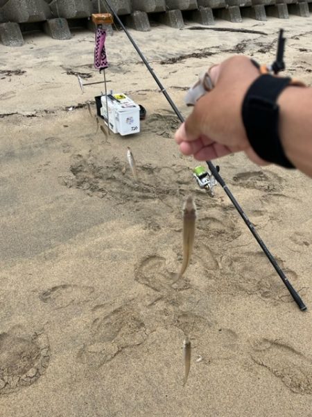 晴天でキスも釣れて大満足でした