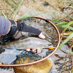 梅雨時は日本海を釣れ