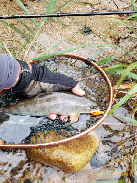 梅雨時は日本海を釣れ