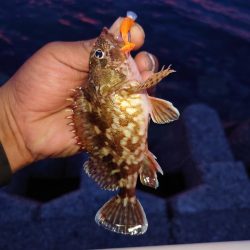 早く仕事終わったので