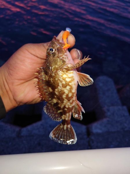 早く仕事終わったので