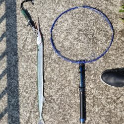 シーバスリベンジ2