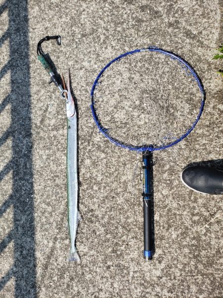 シーバスリベンジ2