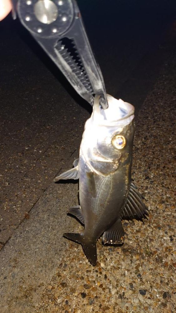 チャンスが少ない!