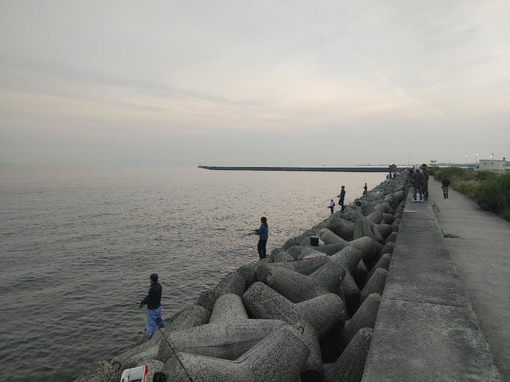 ブリ釣れました。