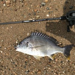 赤水でもバイト連発