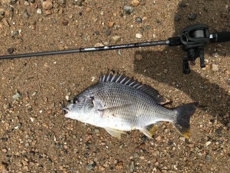 赤水でもバイト連発