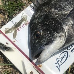 タフコンでショートバイトに苦戦