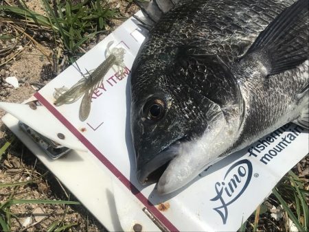 タフコンでショートバイトに苦戦