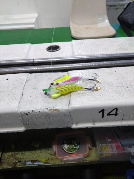 今シーズン初タコ＆公式ユーザー初仕事