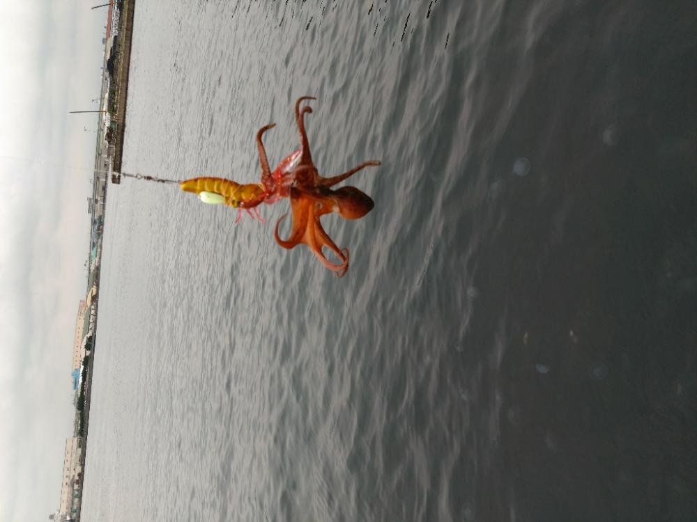 まさかの珍客