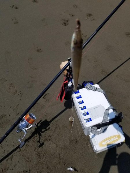 近場でキス釣り