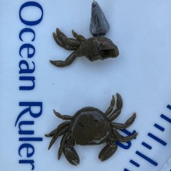 餌取りとの戦い