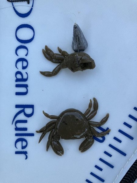 餌取りとの戦い