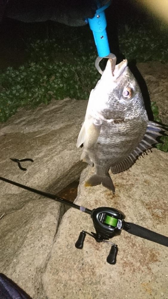 安定のチニング