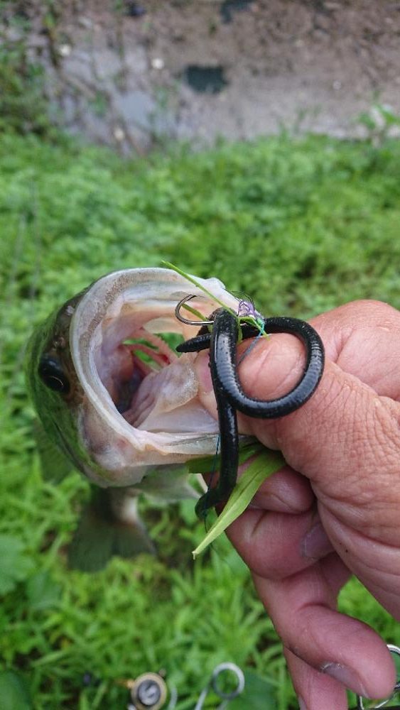 5本リミットメイク