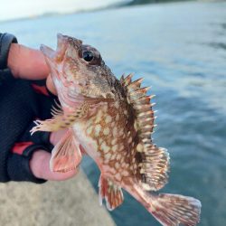 初めての美保関