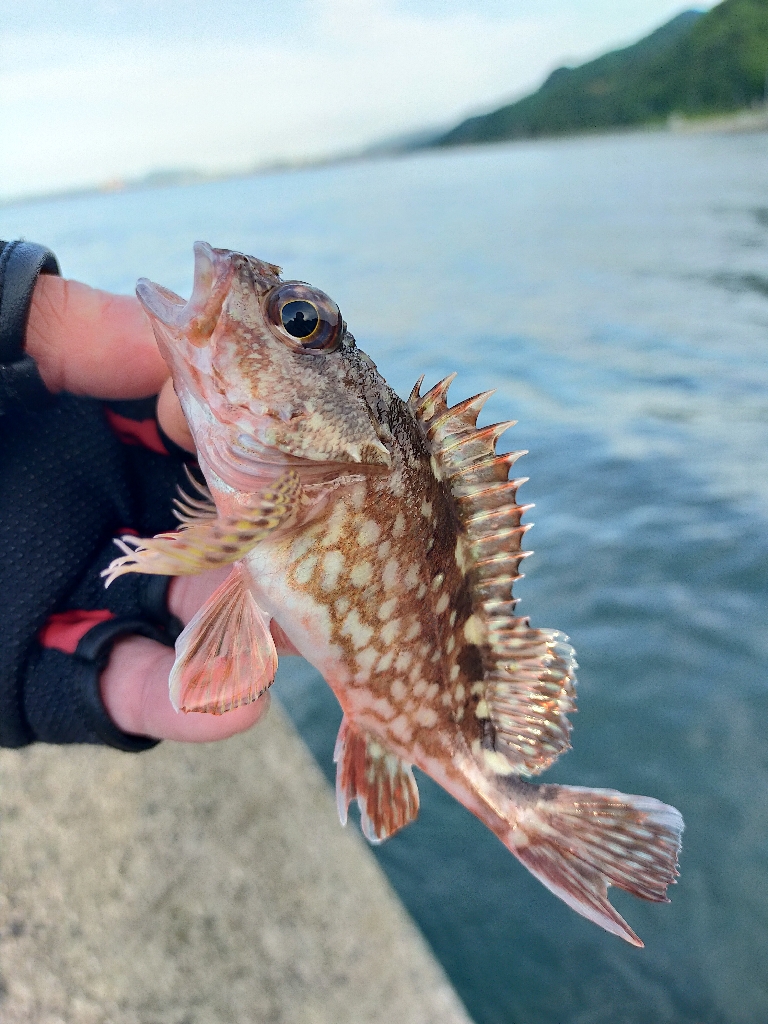 初めての美保関