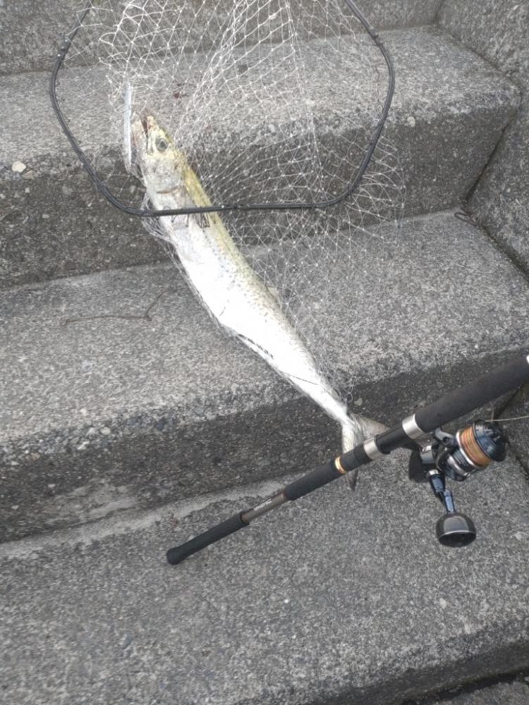 ブローウィン140J　フォールトリック⁉️