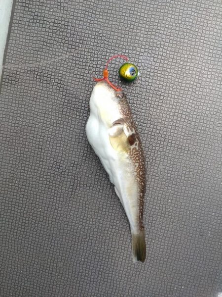 大爆死も何とか捻り出し