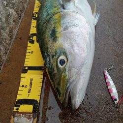 プチsalt water game