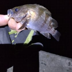 ポイントによる