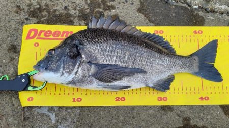 やっとトップに出た(^.^)