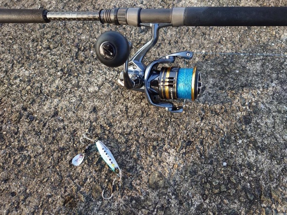 今年初青物&最高記録&初タコ