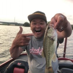 ロッドマンイブニングガイド