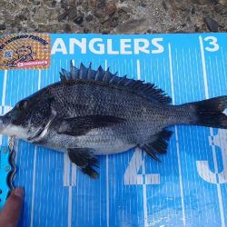 ふかせ釣り第5戦💦