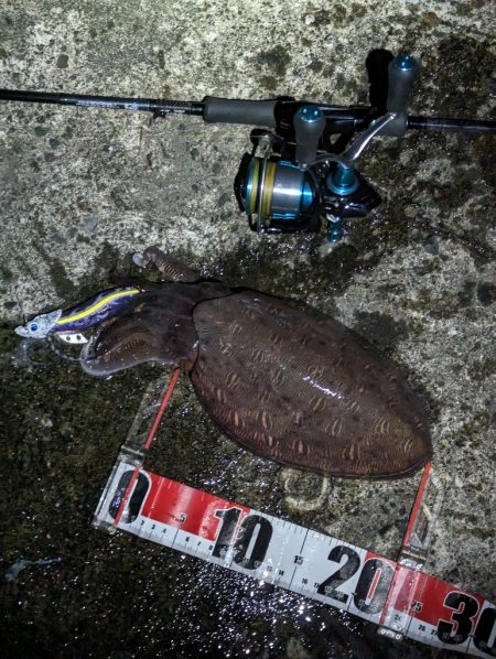 釣り日和と釣果の相反