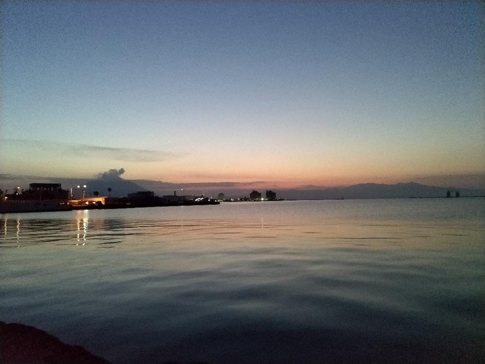 コトヒキ釣れました。