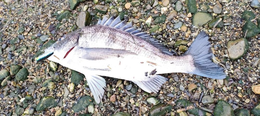 トップチニング