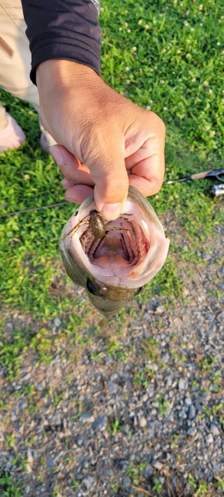 ロープレッシャーと水質