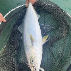 大分川河口　付近