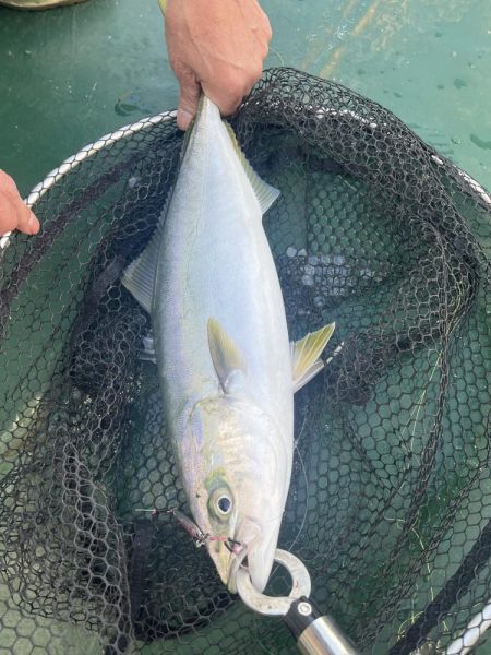 大分川河口　付近