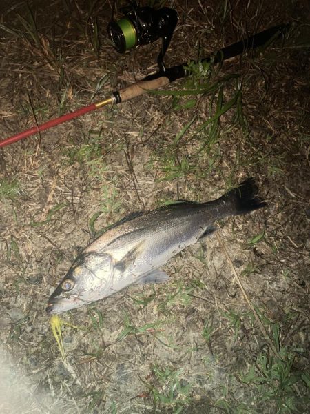 ががっときました。