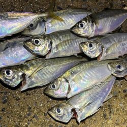 ラインスラッグ