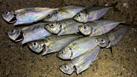 ラインスラッグ