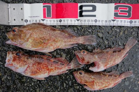 天候に不安有り。しかし…