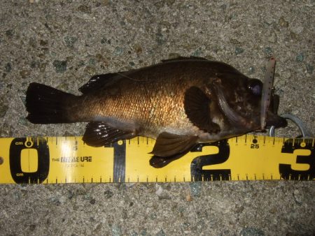 予想外の高活性