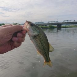 JACKALL FISHING MEET UP