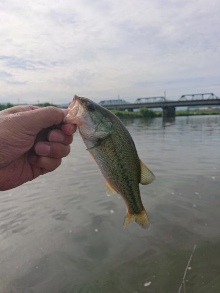 JACKALL FISHING MEET UP