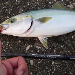 ボイルは唐突に