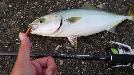 ボイルは唐突に