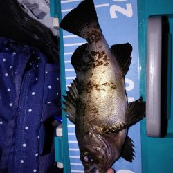 エギング　メバリング