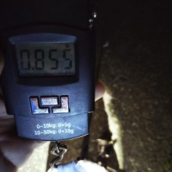 幸先は良かったが…